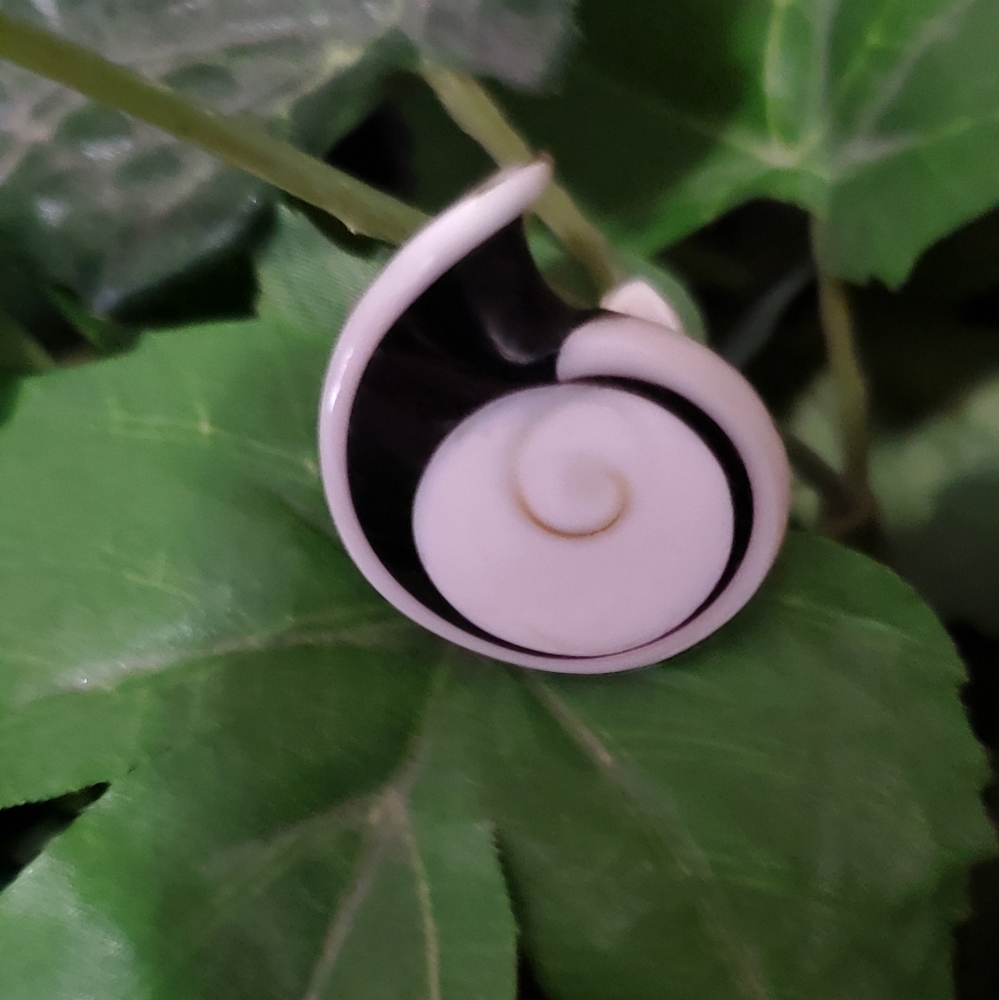 Two Statement Rings - image 4